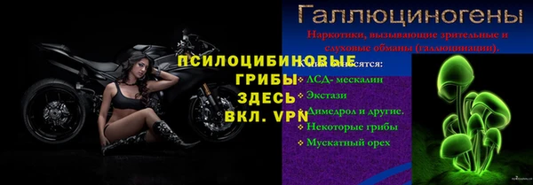 ГАЛЛЮЦИНОГЕННЫЕ ГРИБЫ Карпинск