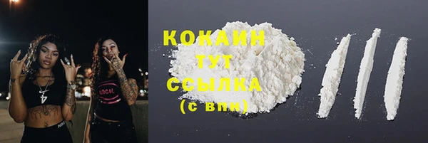ГАЛЛЮЦИНОГЕННЫЕ ГРИБЫ Карпинск