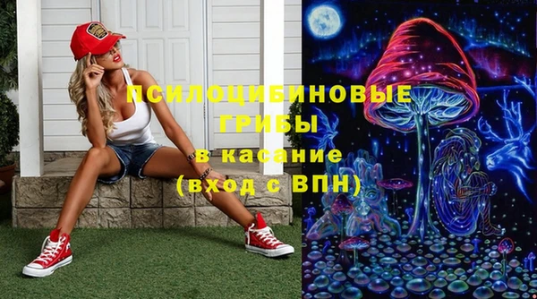 ГАЛЛЮЦИНОГЕННЫЕ ГРИБЫ Карпинск